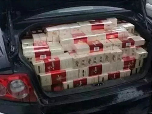 汽车能放多少菜
